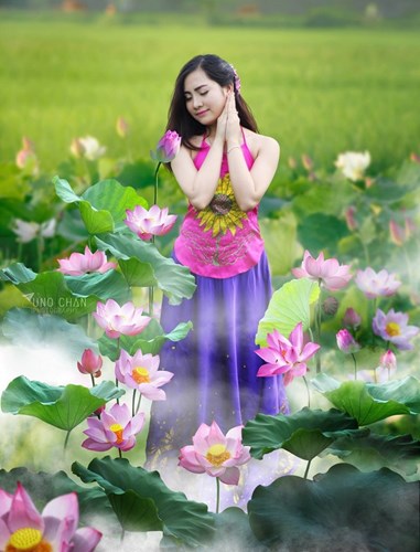 Ảnh[-]đẹp[-]thiếu[-]nữ[-]khoe[-]sắc[-]bên[-]hoa[-]sen[-]